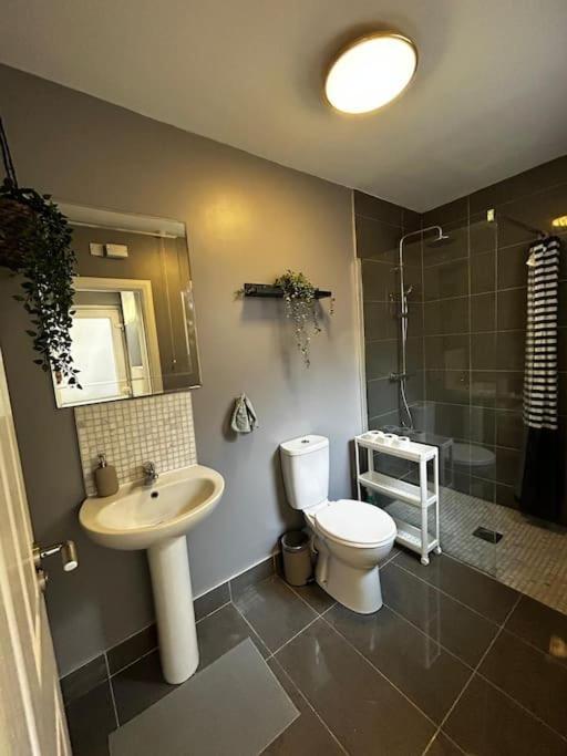 Vibrant City Centre Townhouse With Free Parking Rare Outdoor Patio Belfast Eksteriør bilde