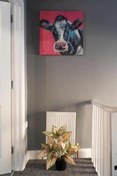Vibrant City Centre Townhouse With Free Parking Rare Outdoor Patio Belfast Eksteriør bilde